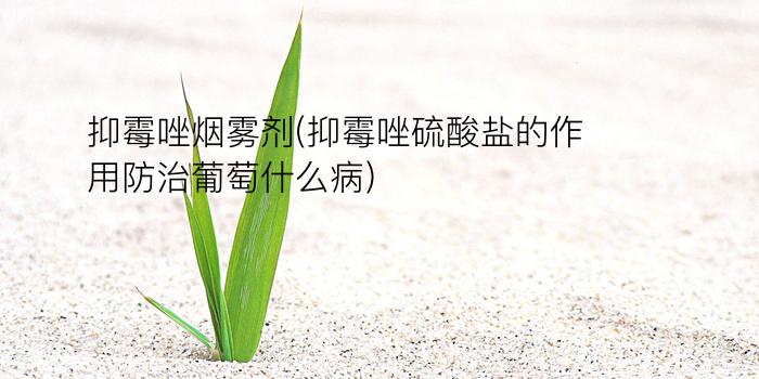 抑霉唑烟雾剂(抑霉唑硫酸盐的作用防治葡萄什么病)