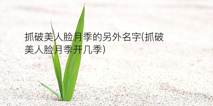 抓破美人脸月季的另外名字(抓破美人脸月季开几季)