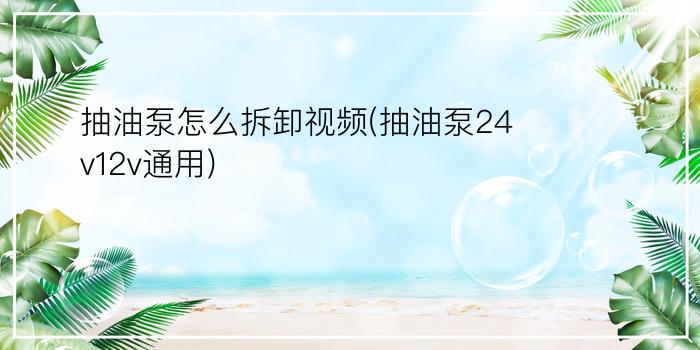 抽油泵怎么拆卸视频(抽油泵24v12v通用)