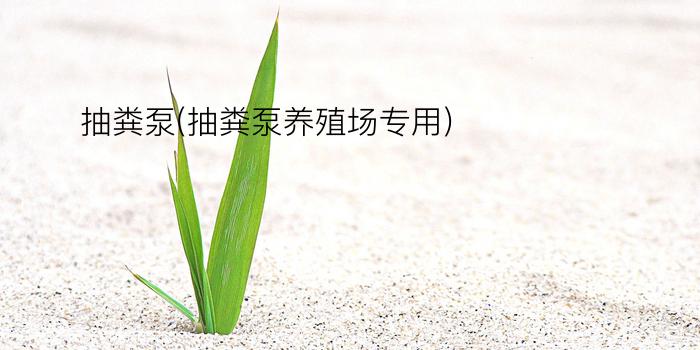 抽粪泵(抽粪泵养殖场专用)