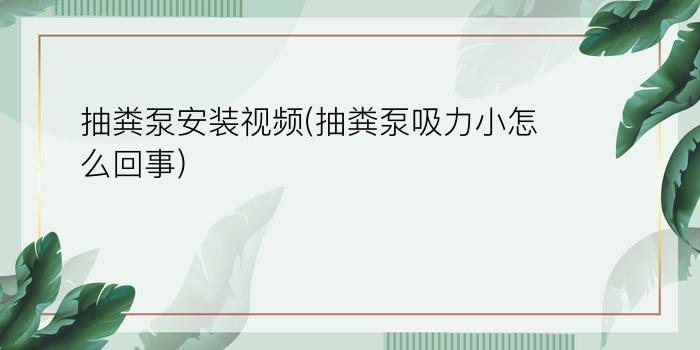 抽粪泵安装视频(抽粪泵吸力小怎么回事)