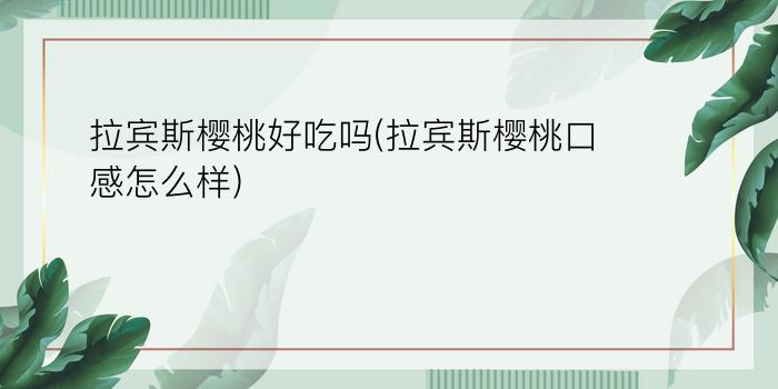 拉宾斯樱桃好吃吗(拉宾斯樱桃口感怎么样)