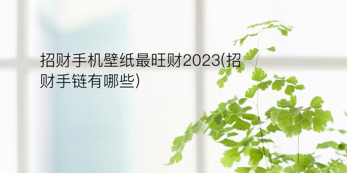 招财手机壁纸最旺财2023(招财手链有哪些)