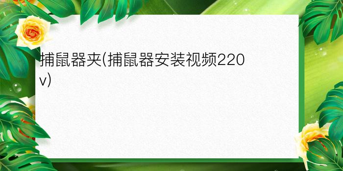 捕鼠器夹(捕鼠器安装视频220v)