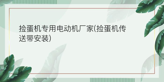 捡蛋机专用电动机厂家(捡蛋机传送带安装)