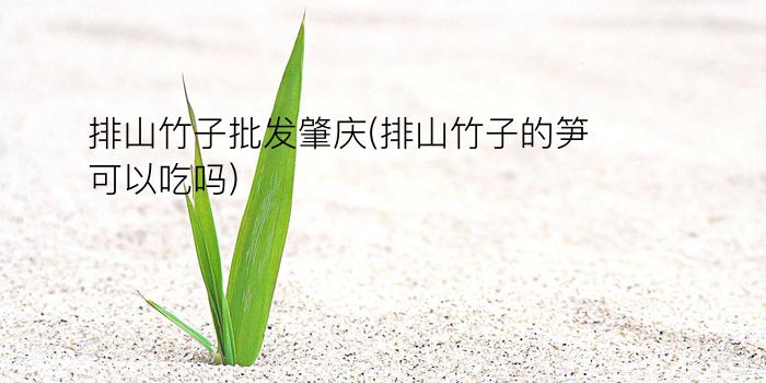 排山竹子批发肇庆(排山竹子的笋可以吃吗)