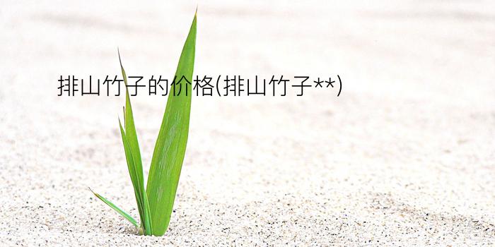 排山竹子的价格(排山竹子**)