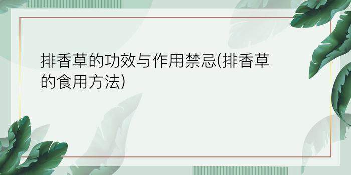 排香草的功效与作用禁忌(排香草的食用方法)