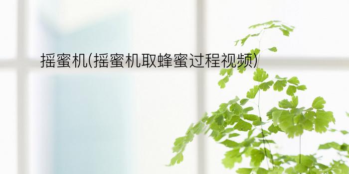 摇蜜机(摇蜜机取蜂蜜过程视频)