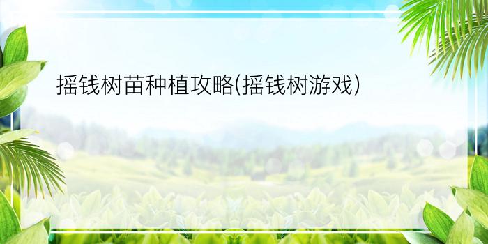 摇钱树苗种植攻略(摇钱树游戏)