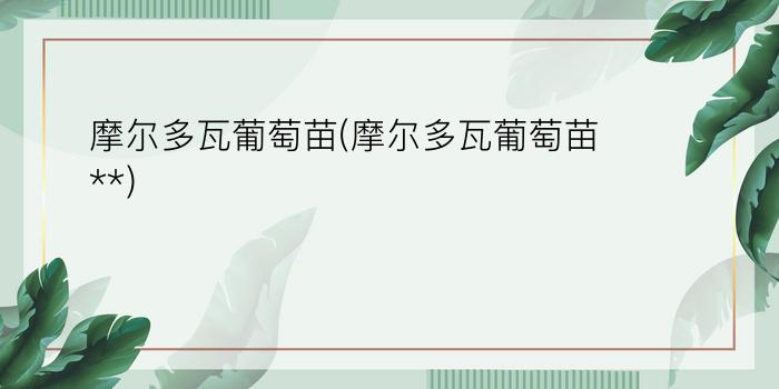 摩尔多瓦葡萄苗(摩尔多瓦葡萄苗**)