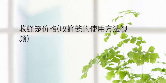 收蜂笼价格(收蜂笼的使用方法视频)