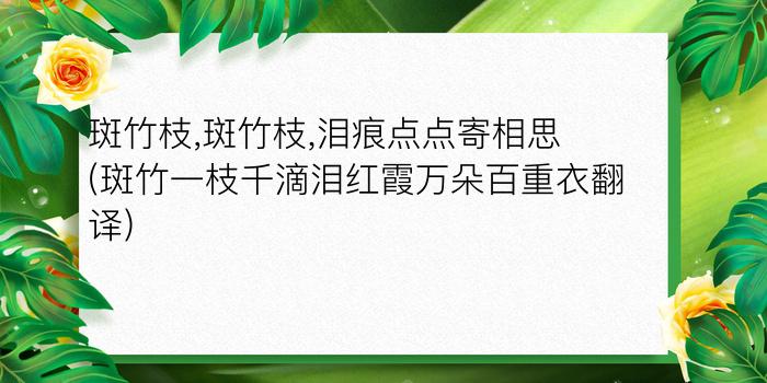 斑竹枝,斑竹枝,泪痕点点寄相思(斑竹一枝千滴泪红霞万朵百重衣翻译)