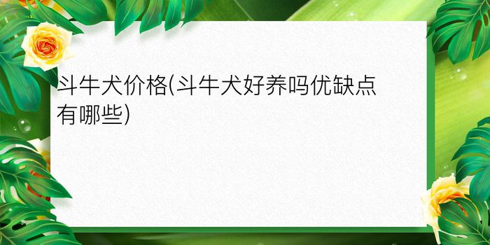 斗牛犬价格(斗牛犬好养吗?优缺点有哪些)