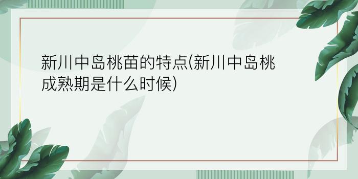 新川中岛桃苗的特点(新川中岛桃成熟期是什么时候)