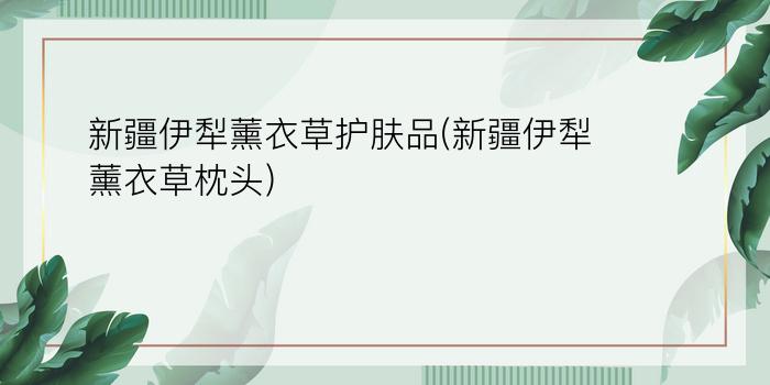 新疆伊犁薰衣草护肤品(新疆伊犁薰衣草枕头)