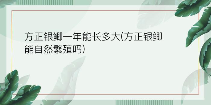 方正银鲫一年能长多大(方正银鲫能自然繁殖吗)