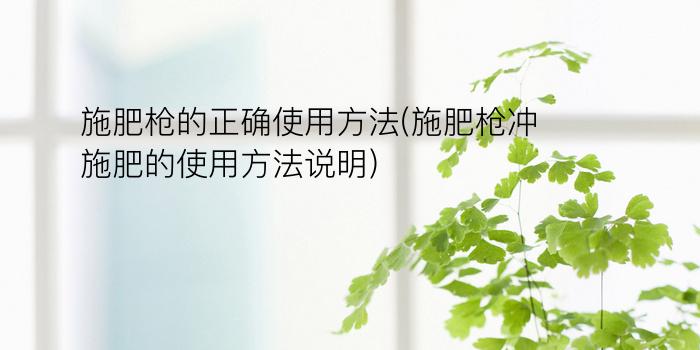 施肥枪的正确使用方法(施肥枪冲施肥的使用方法说明)