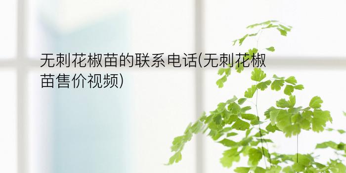 无刺花椒苗的联系电话(无刺花椒苗售价视频)