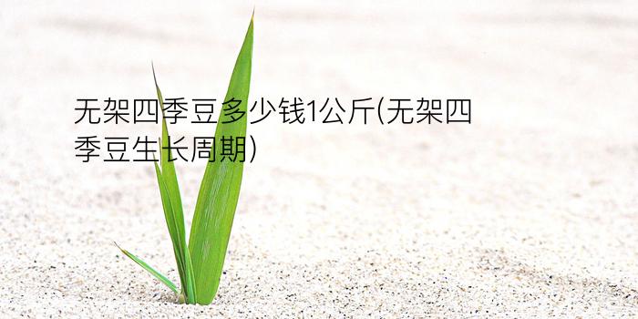 无架四季豆多少钱1公斤(无架四季豆生长周期)