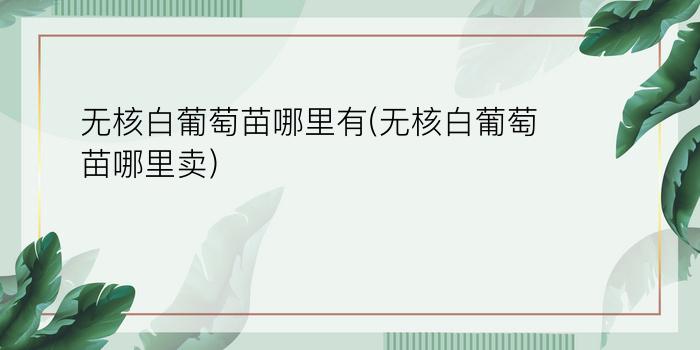 无核白葡萄苗哪里有(无核白葡萄苗哪里卖)