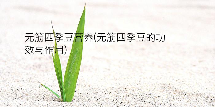 无筋四季豆营养(无筋四季豆的功效与作用)