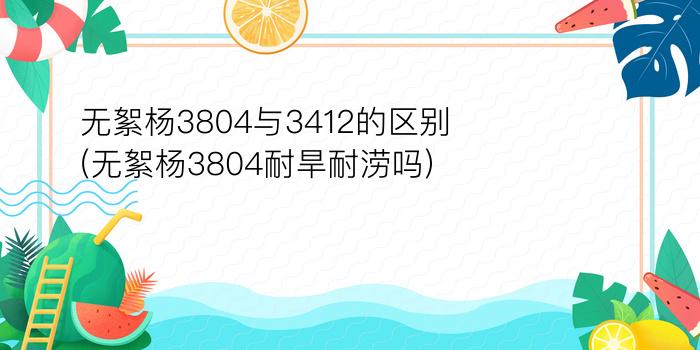 无絮杨3804与3412的区别(无絮杨3804耐旱耐涝吗)