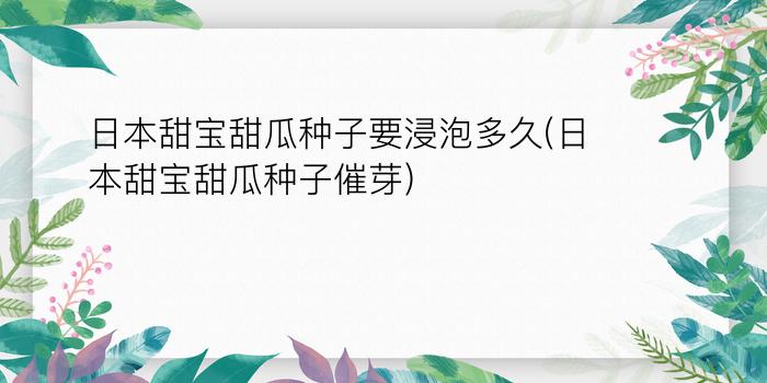 日本甜宝甜瓜种子要浸泡多久(日本甜宝甜瓜种子催芽)