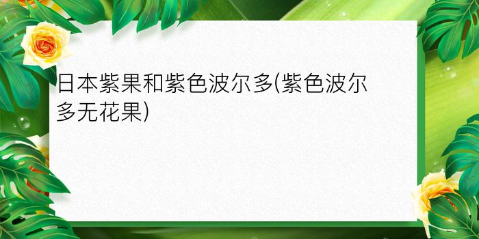 日本紫果和紫色波尔多(紫色波尔多无花果)