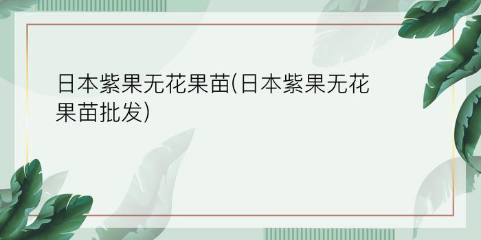 日本紫果无花果苗(日本紫果无花果苗批发)