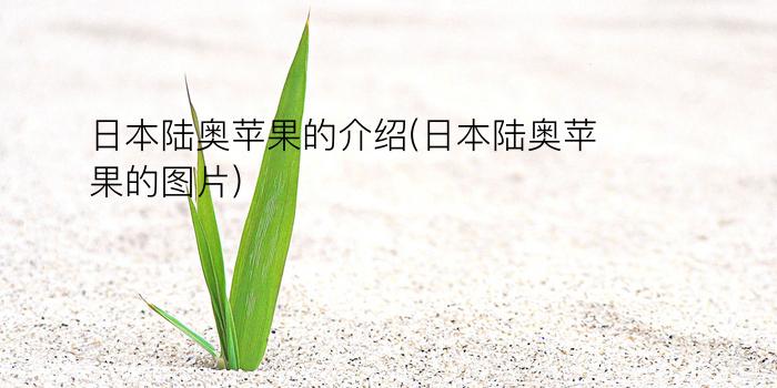 日本陆奥苹果的介绍(日本陆奥苹果的图片)