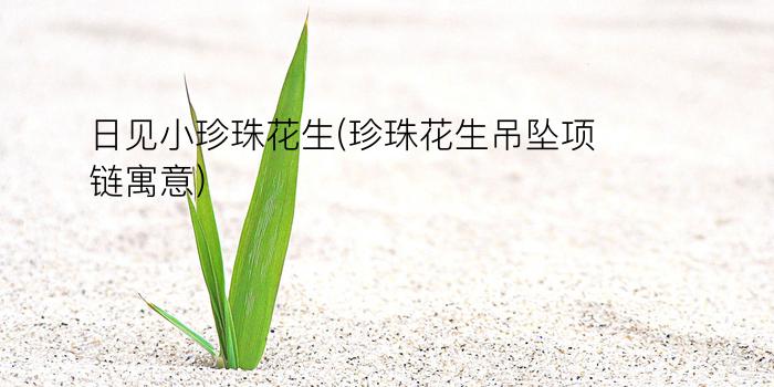 日见小珍珠花生(珍珠花生吊坠项链寓意)