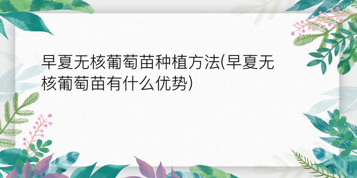 早夏无核葡萄苗种植方法(早夏无核葡萄苗有什么优势)