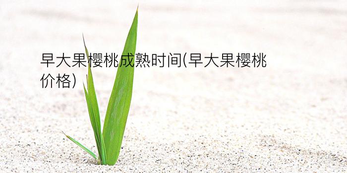 早大果樱桃成熟时间(早大果樱桃价格)