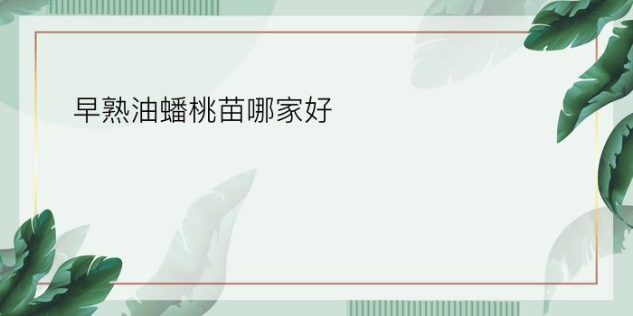 早熟油蟠桃苗哪家好