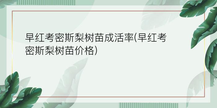 早红考密斯梨树苗成活率(早红考密斯梨树苗价格)