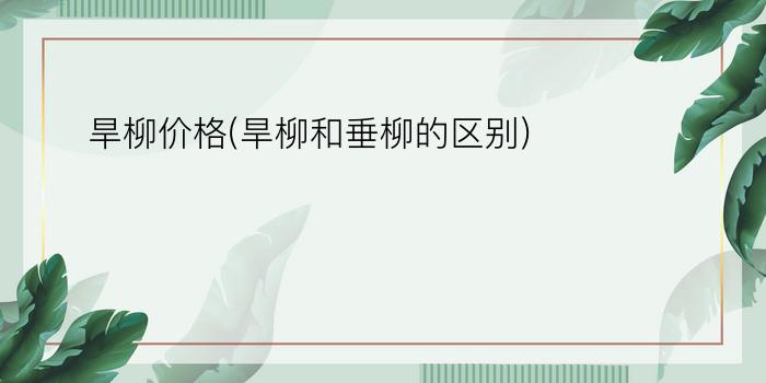 旱柳价格(旱柳和垂柳的区别)