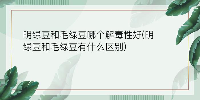 明绿豆和毛绿豆哪个解毒性好(明绿豆和毛绿豆有什么区别)