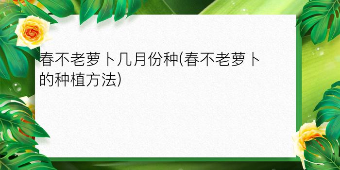 春不老萝卜几月份种(春不老萝卜的种植方法)