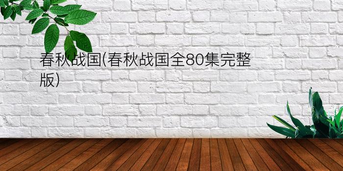 春秋战国(春秋战国全80集完整版)