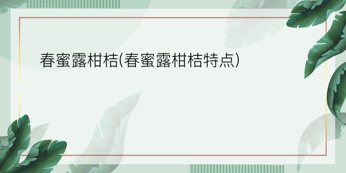 春蜜露柑桔(春蜜露柑桔特点)