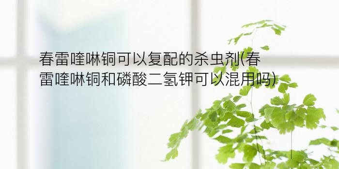 春雷喹啉铜可以复配的杀虫剂(春雷喹啉铜和磷酸二氢钾可以混用吗)