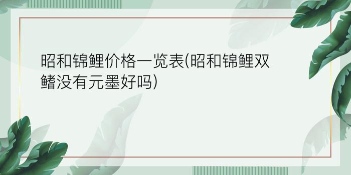 昭和锦鲤价格一览表(昭和锦鲤双鳍没有元墨好吗)