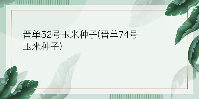 晋单52号玉米种子(晋单74号玉米种子)