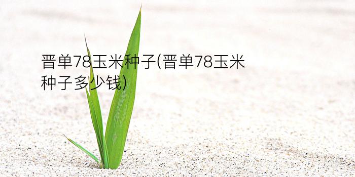 晋单78玉米种子(晋单78玉米种子多少钱)