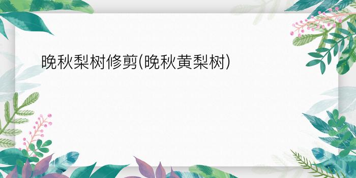 晚秋梨树修剪(晚秋黄梨树)