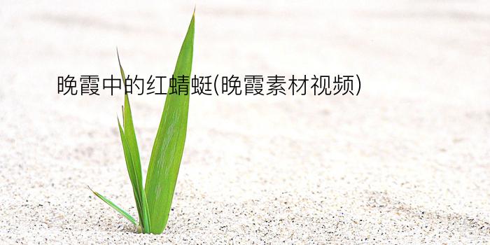 晚霞中的红蜻蜓(晚霞素材视频)