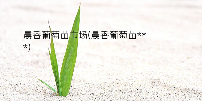 晨香葡萄苗市场(晨香葡萄苗***)