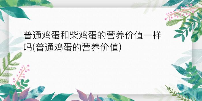 普通鸡蛋和柴鸡蛋的营养价值一样吗(普通鸡蛋的营养价值)