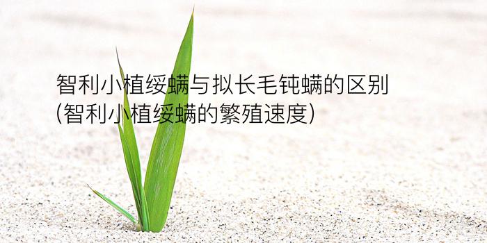 智利小植绥螨与拟长毛钝螨的区别(智利小植绥螨的繁殖速度)